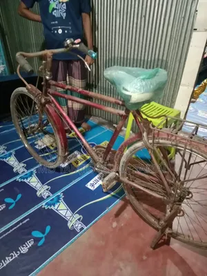 বাই সাইকেল