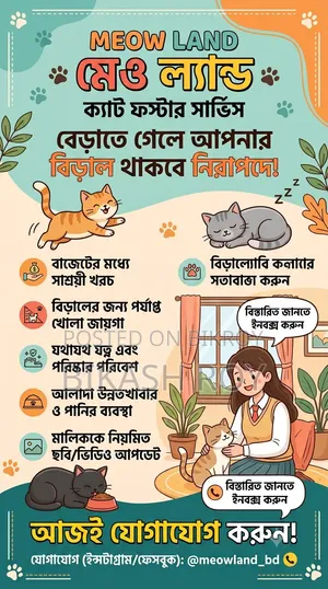 ক্যাট ফস্টার/শেল্টার/বোর্ডিং হোম