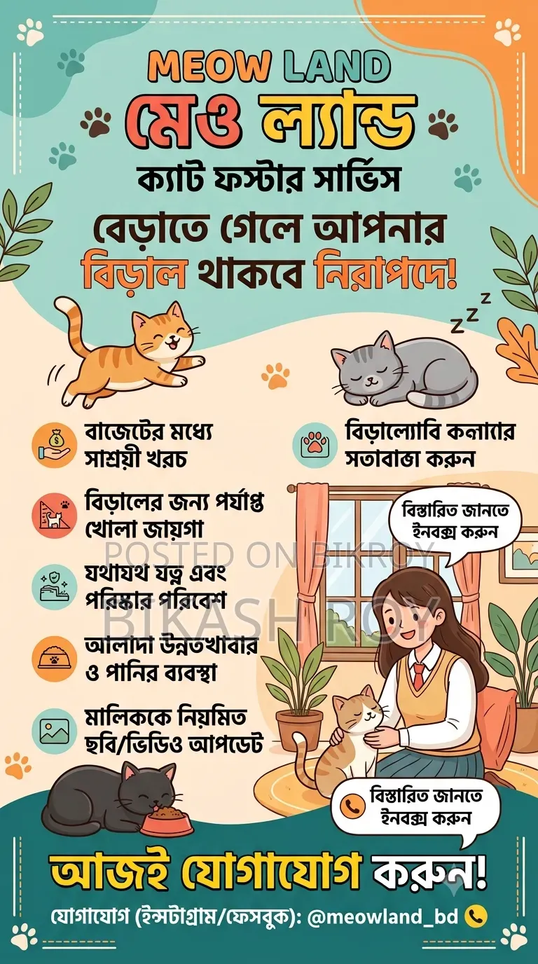 ক্যাট ফস্টার/শেল্টার/বোর্ডিং হোম