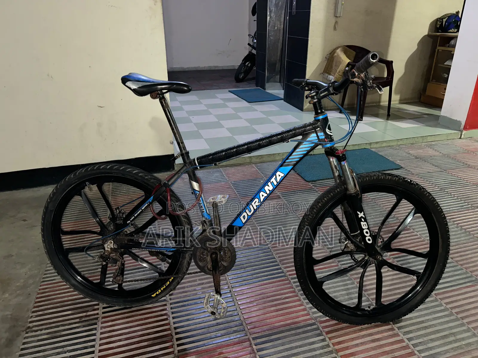 Duranta Cycle