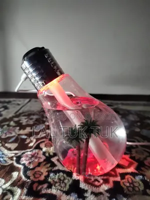 Bulb Shaped Mini Humidifier With Night Light | USB