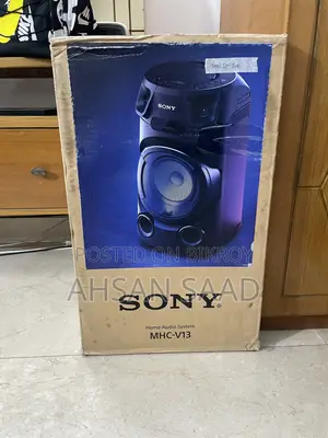 DJ Setup & Party Speaker