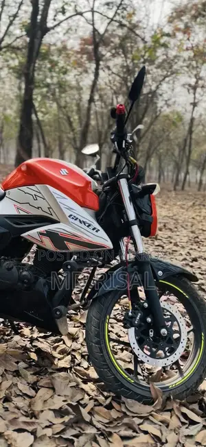 সুজুকি জিক্সার ২০২৪ কমলা