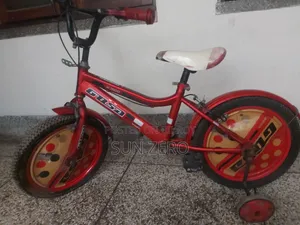 সাইকেল ফর সেল ১৬"
