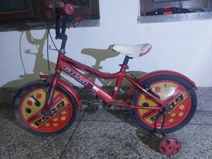 সাইকেল ফর সেল ১৬"