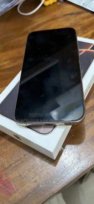 Apple iPhone 16 Pro Max 256 GB Gray