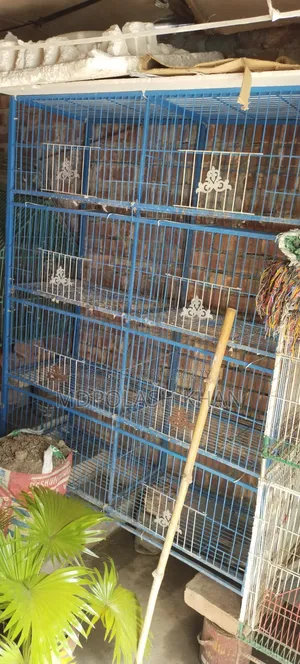 কবিতরের খাঁচা