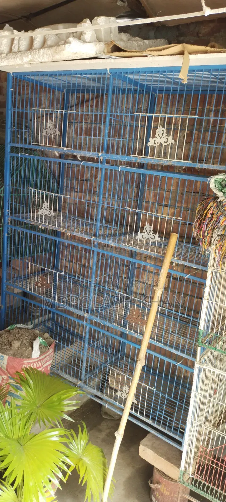 কবিতরের খাঁচা