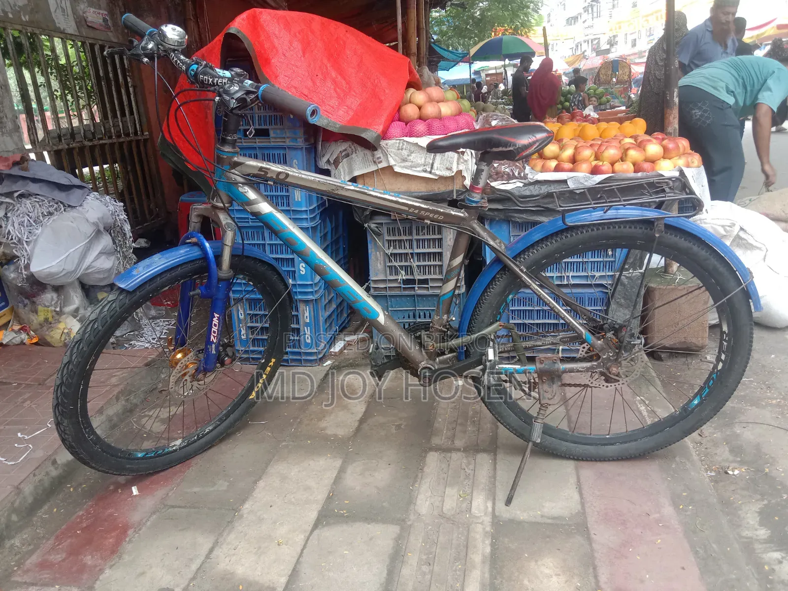 Foxter 5.0 Cycle