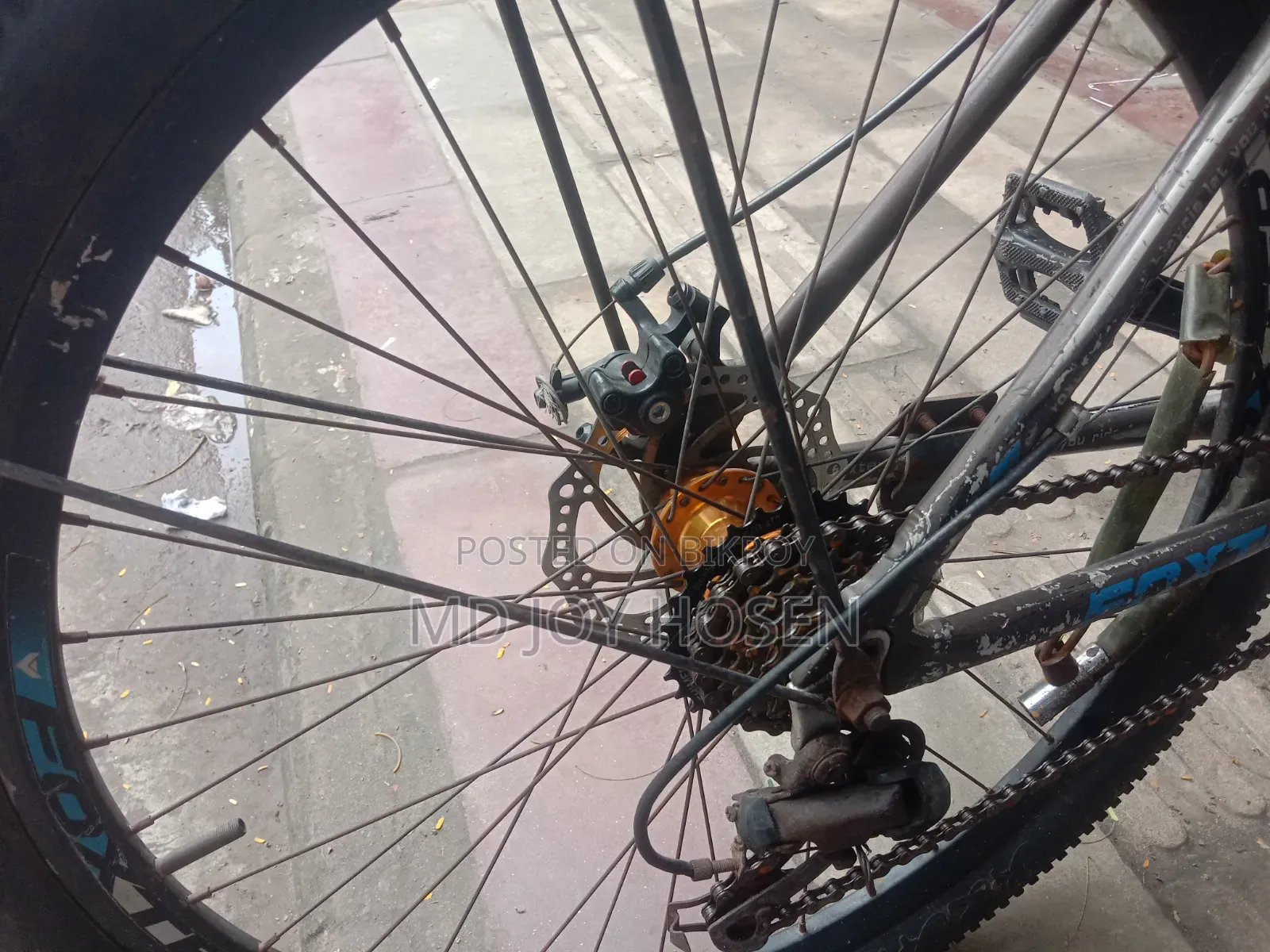 Foxter 5.0 Cycle