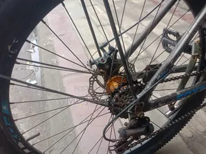 Foxter 5.0 Cycle