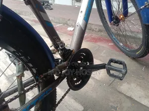 Foxter 5.0 Cycle