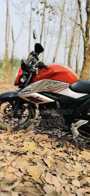 সুজুকি জিক্সার ২০২৪ কমলা