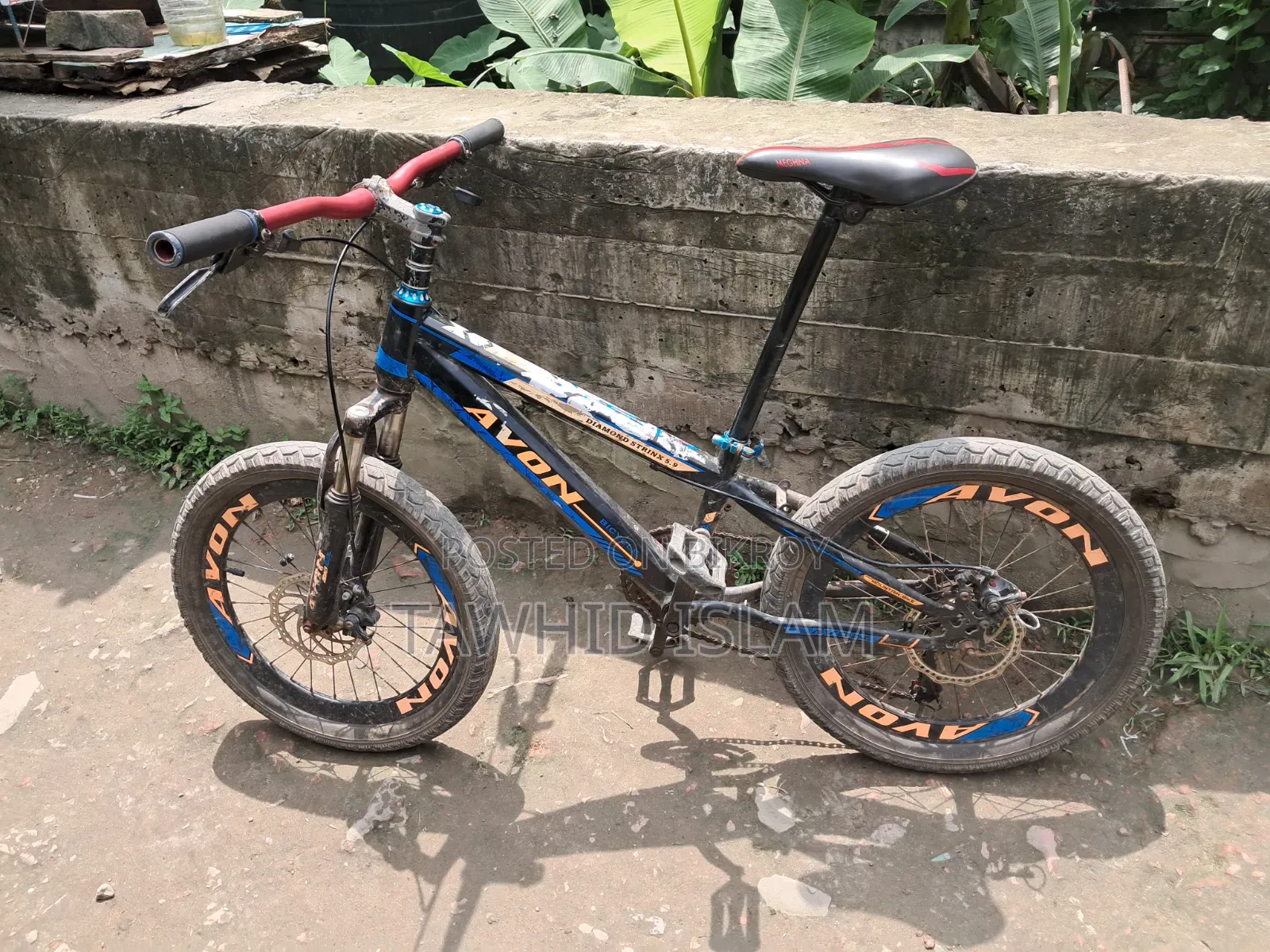 Avon Cycle
