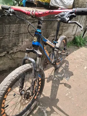Avon Cycle