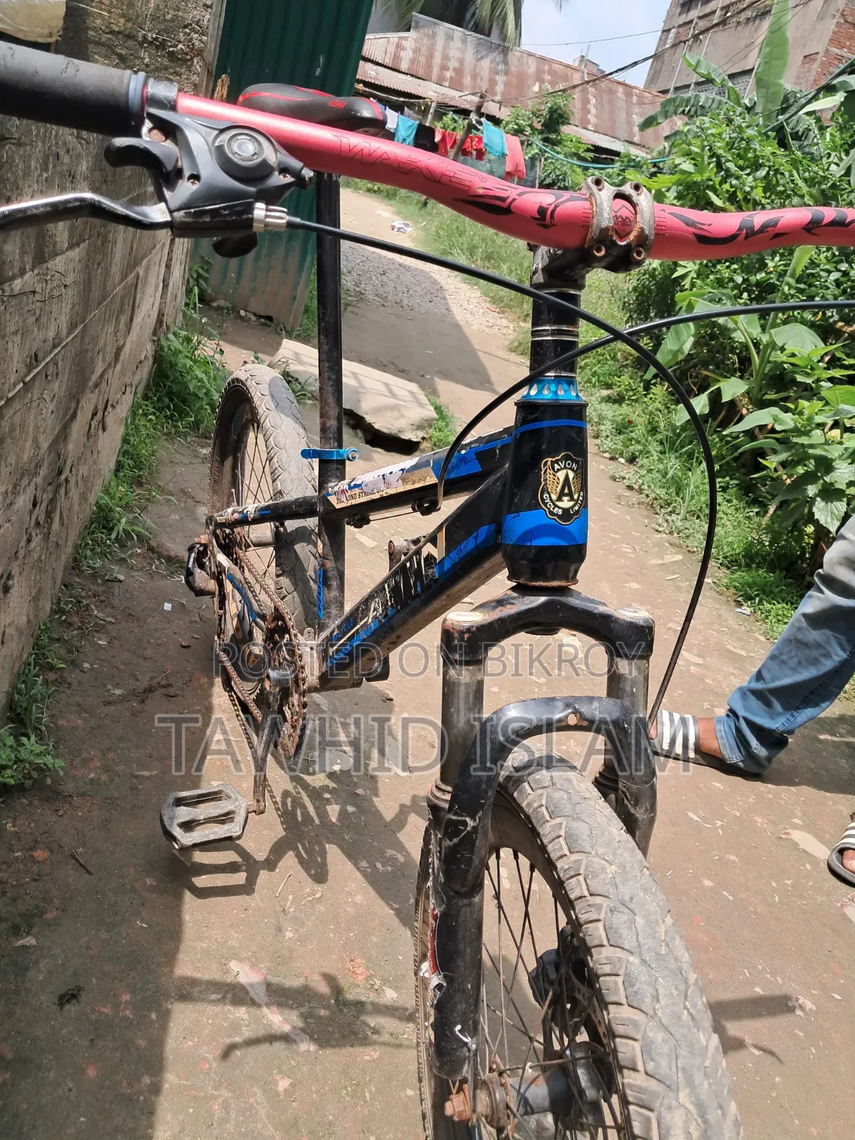 Avon Cycle