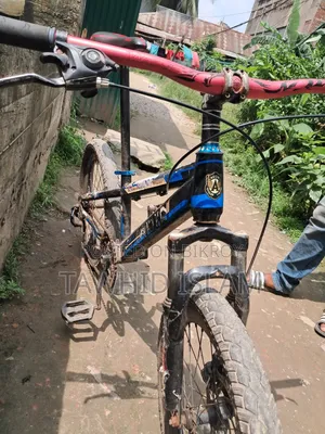 Avon Cycle