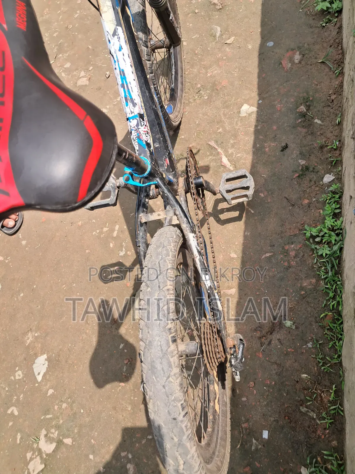 Avon Cycle