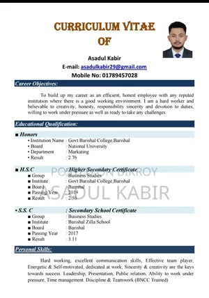 Professional CV Design Service