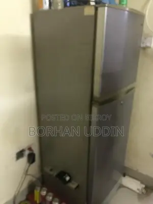 Samsung Freezer 10 Cu Ft