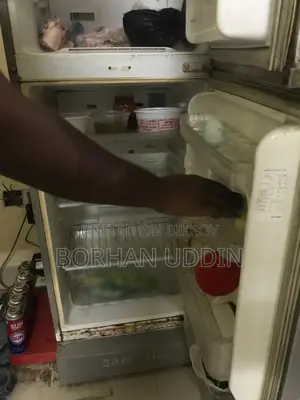 Samsung Freezer 10 Cu Ft