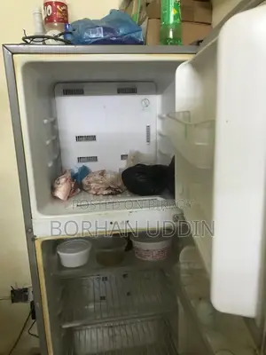 Samsung Freezer 10 Cu Ft