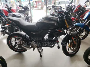 Suzuki 2025 Gray
