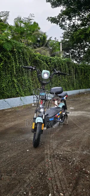 Motorcycle 2025 Purple