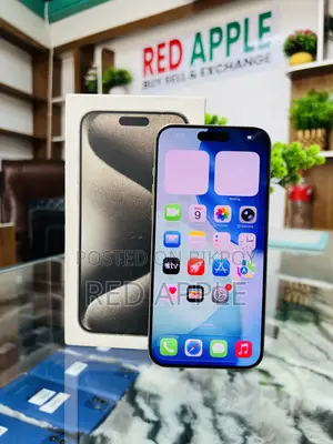 Apple iPhone 15 Pro Max 256 GB Silver