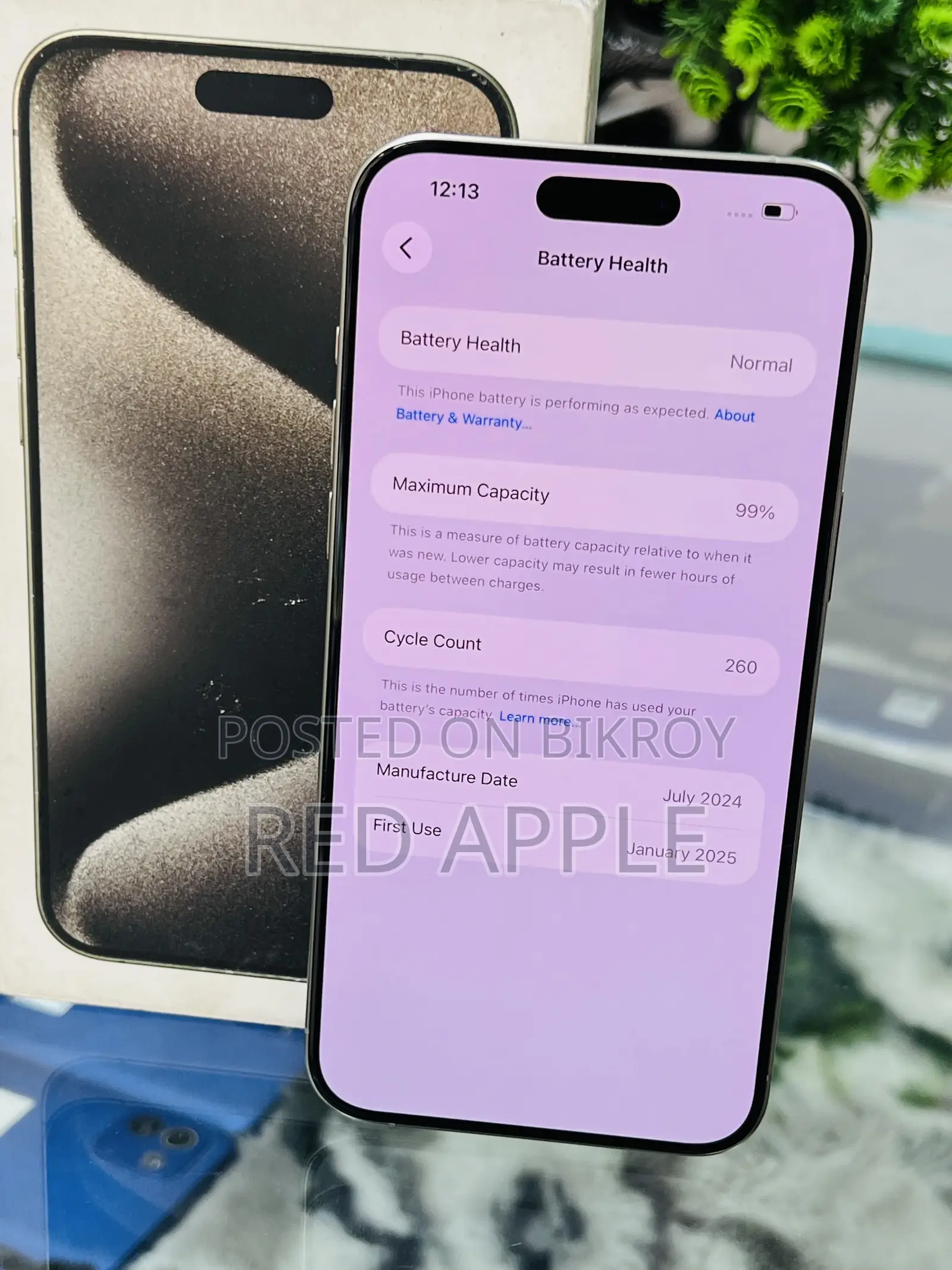 Apple iPhone 15 Pro Max 256 GB Silver