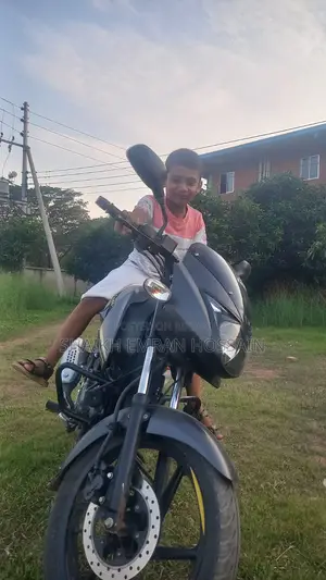Bajaj Pulsar 150 2021 Gray