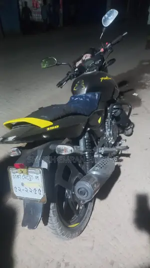 Bajaj Pulsar 150 2021 Gray