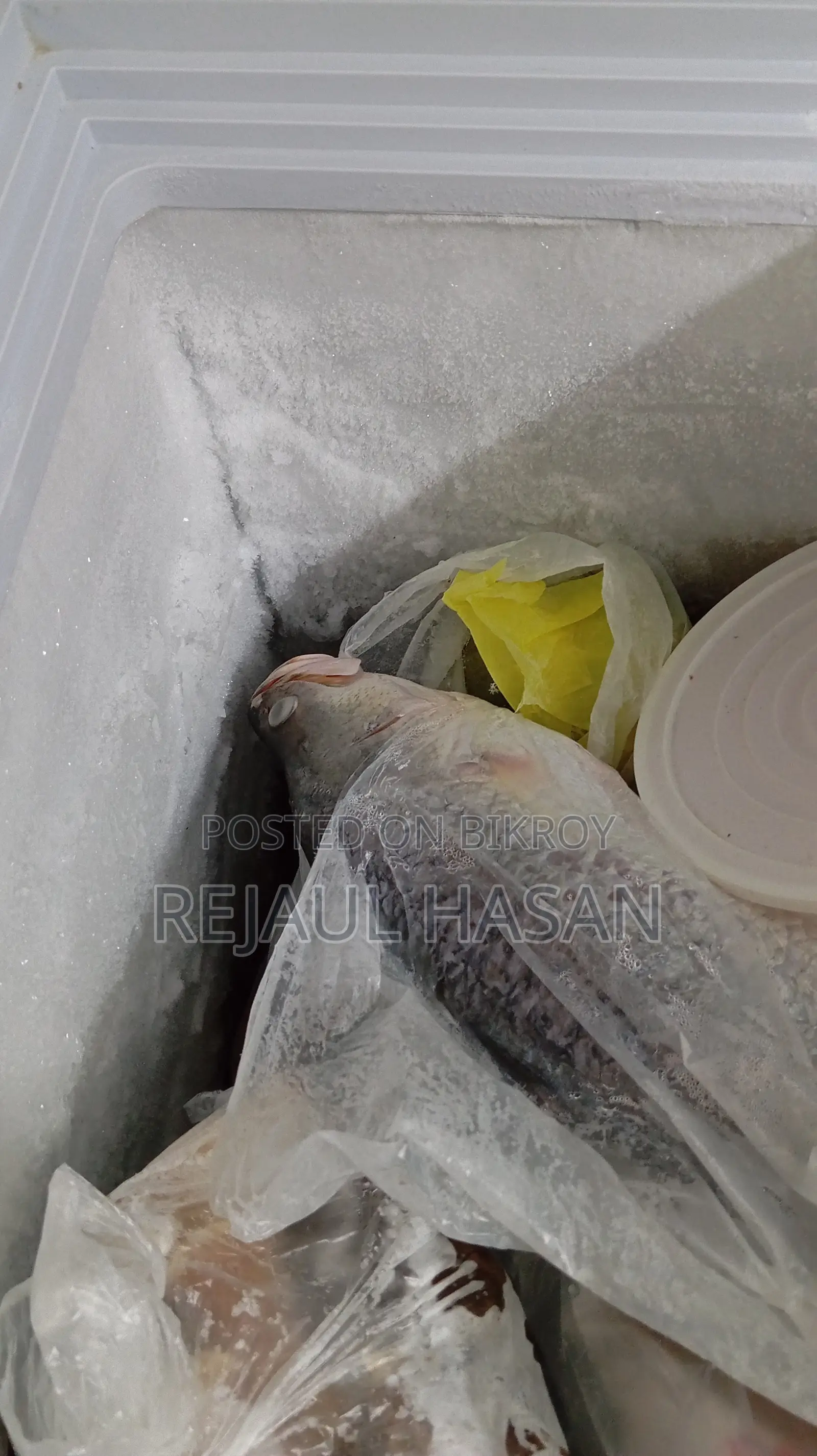 Deep Fridge