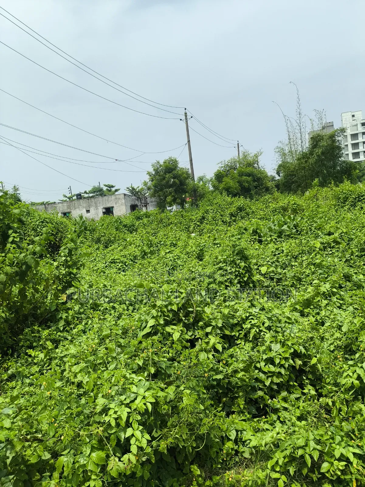 Sector:16, Near IBA Club 5 Katha Plot Urgent Sale in Purbachal