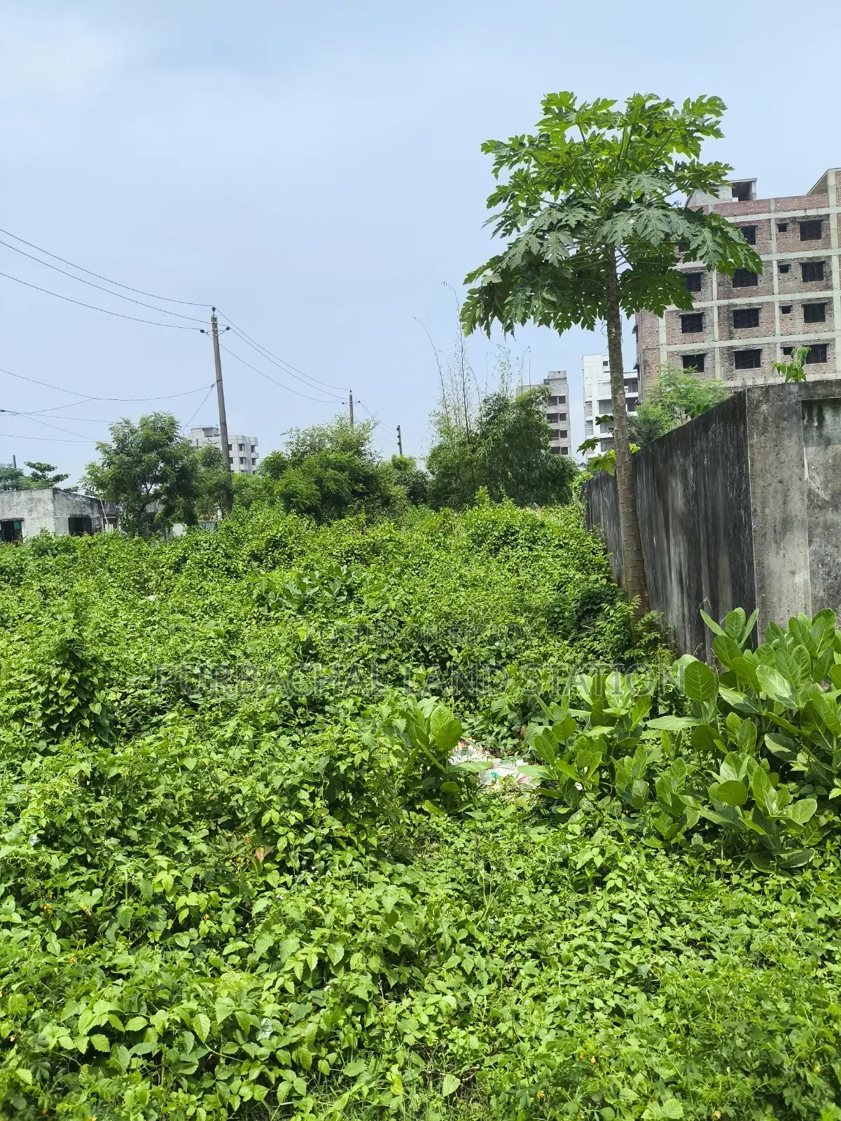Sector:16, Near IBA Club 5 Katha Plot Urgent Sale in Purbachal