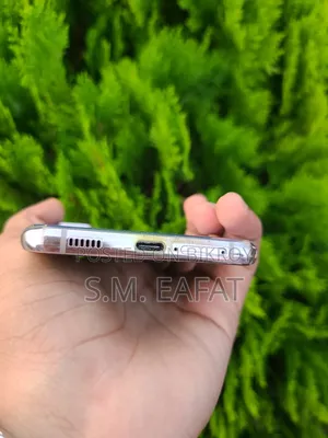 স্যামসাং গ্যালাক্সি এস২১+ ৫জি ২৫৬ জিবি সিলভার