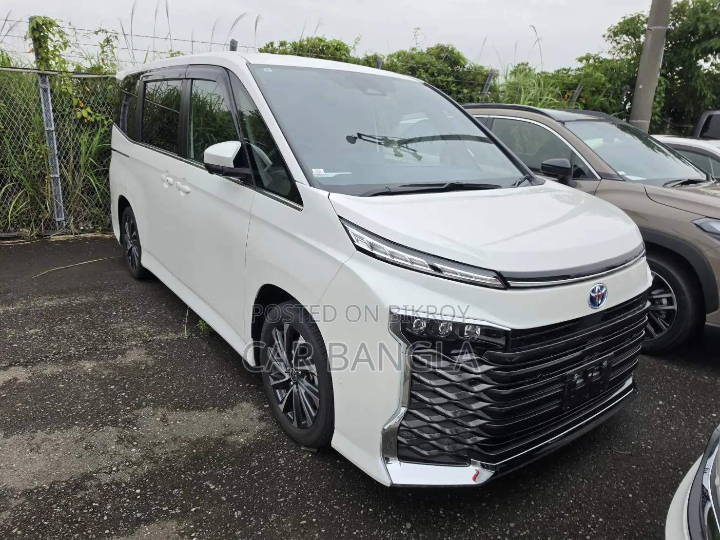 Toyota Voxy 2024 Pearl