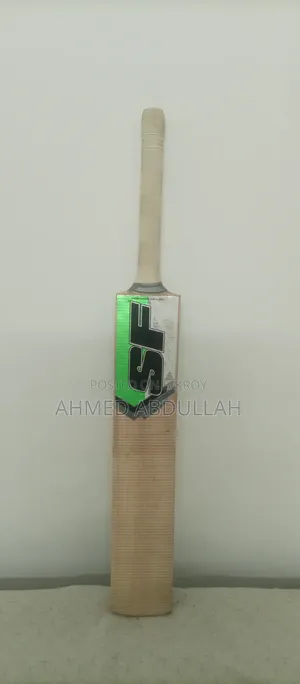 Kashmir Willow Cricket Bat