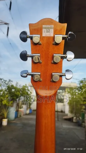 Deviser L-720b (Fretwork) Pure Acoustic Guitar