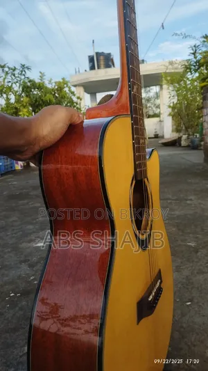 Deviser L-720b (Fretwork) Pure Acoustic Guitar