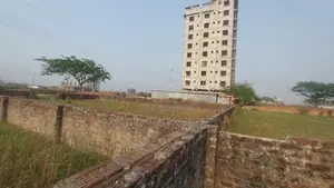 Photo - Plot Sale Bashundhara D Block 5 Katha South Facing