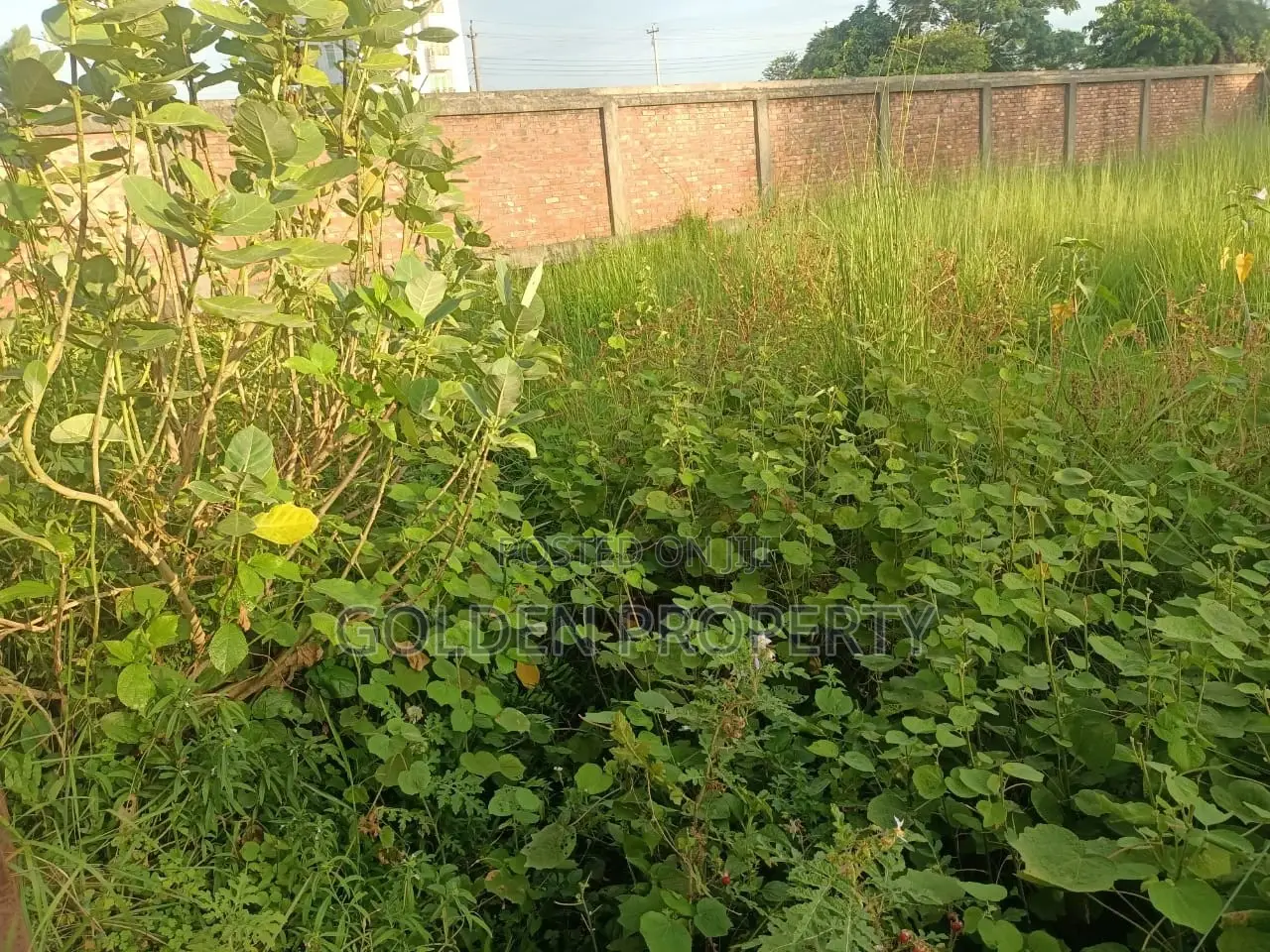 Plot Sale in Bashundhara N Block