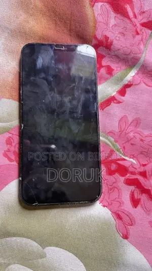 অ্যাপল আইফোন ১২ প্রো ম্যাক্স ২৫৬ জিবি ব্লু