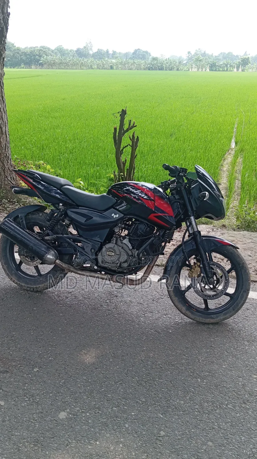 Bajaj Pulsar 150 2015 Black