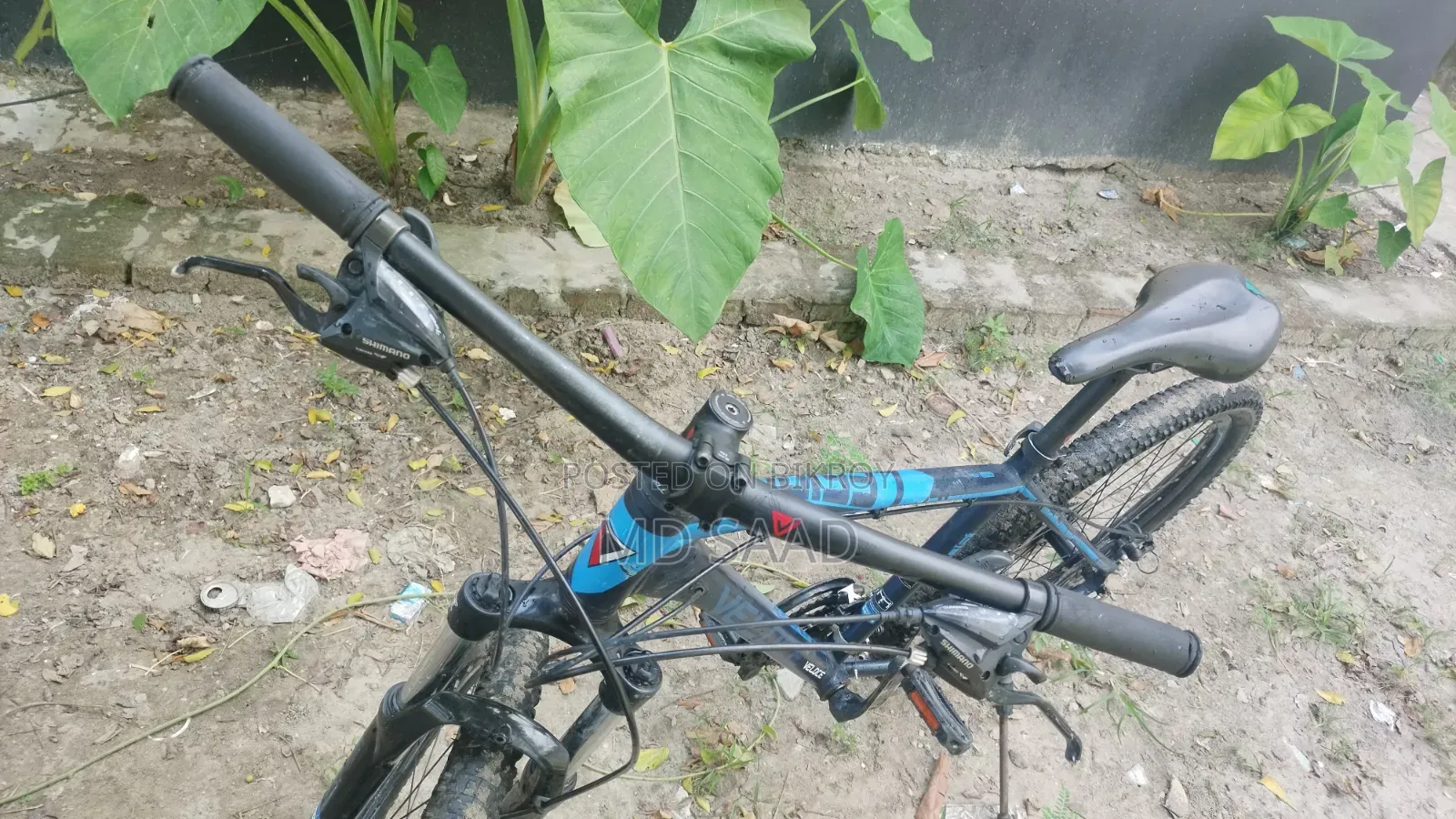 Veloce Legion20 2025 Model