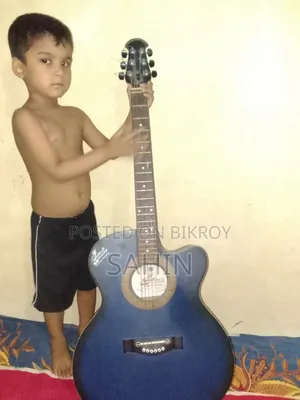 Guitar Model 265