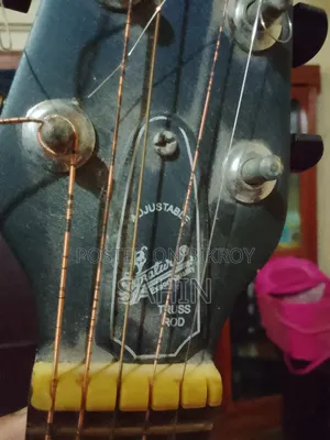 Guitar Model 265