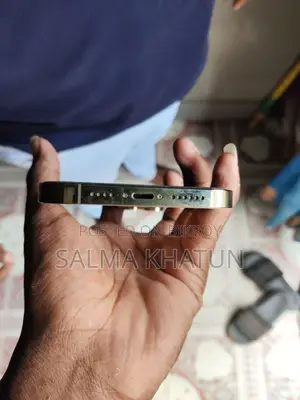 Apple iPhone 13 Pro Max 256 GB Rose Gold