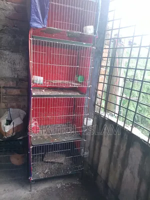 ৪ তলা খাঁচা