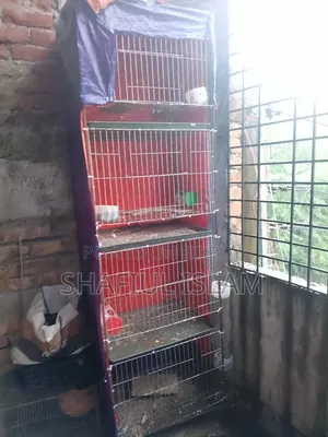 ৪ তলা খাঁচা